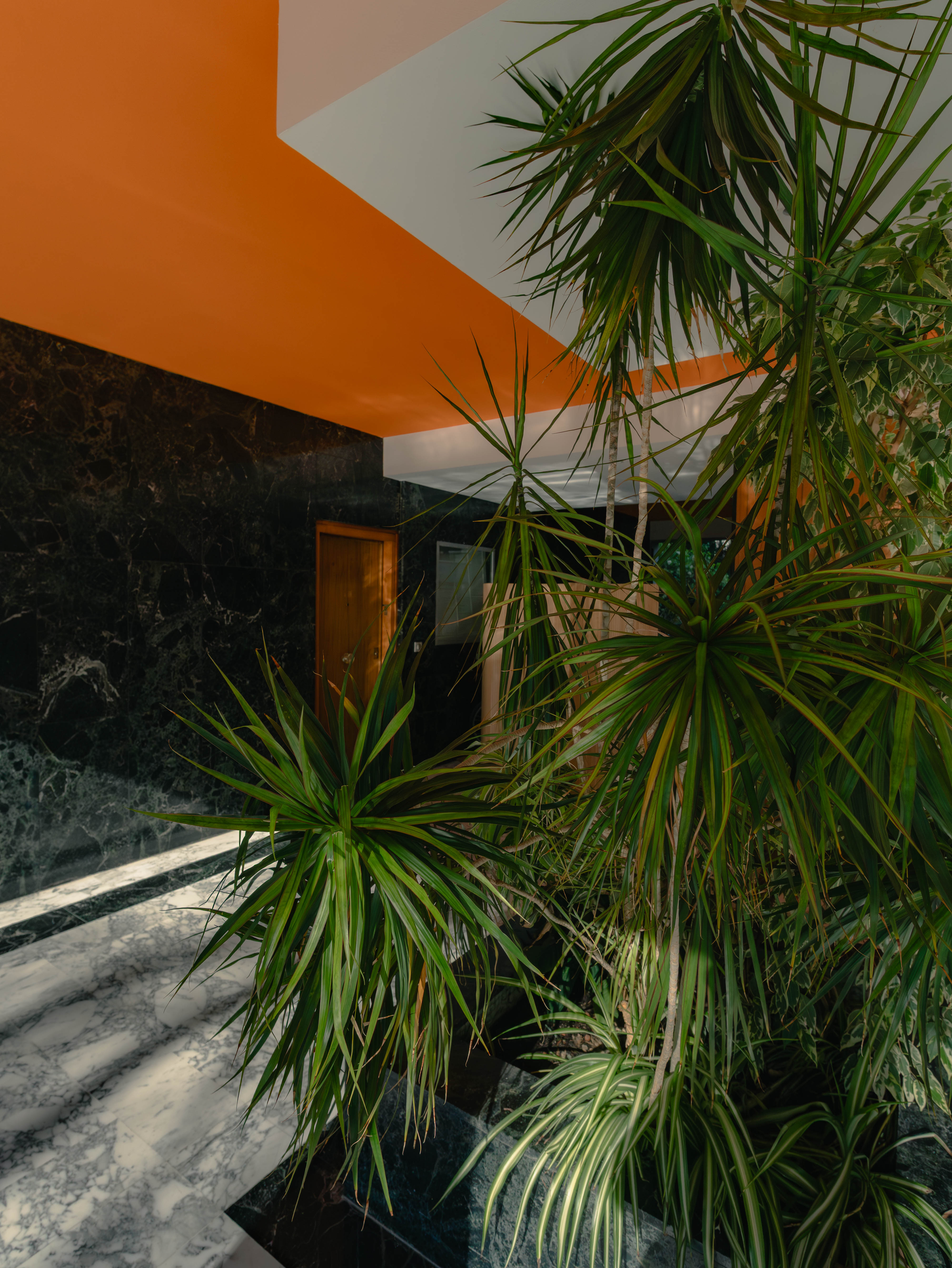 Hall plafond orange en porte-à-faux, palmiers, marbre noir