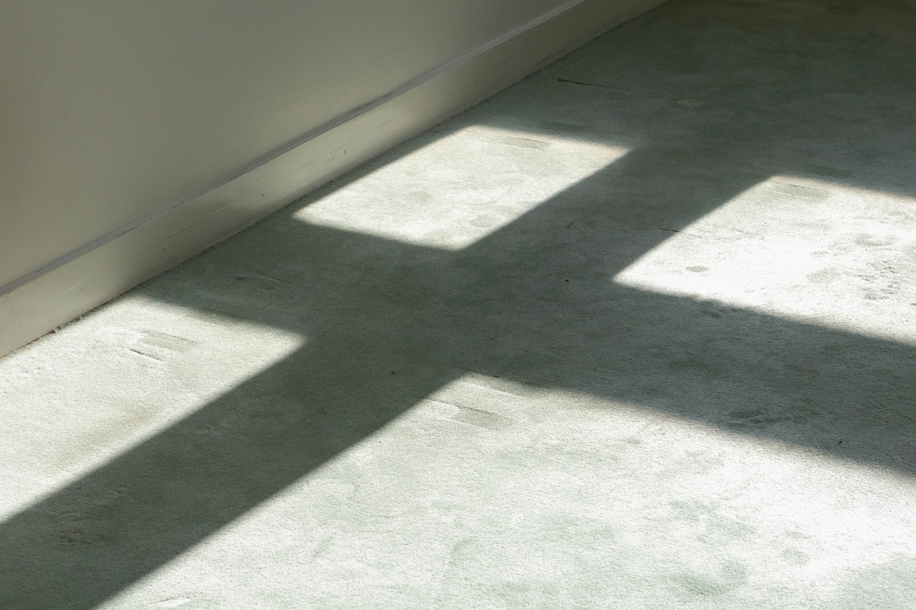 Détail intérieur, belle matière