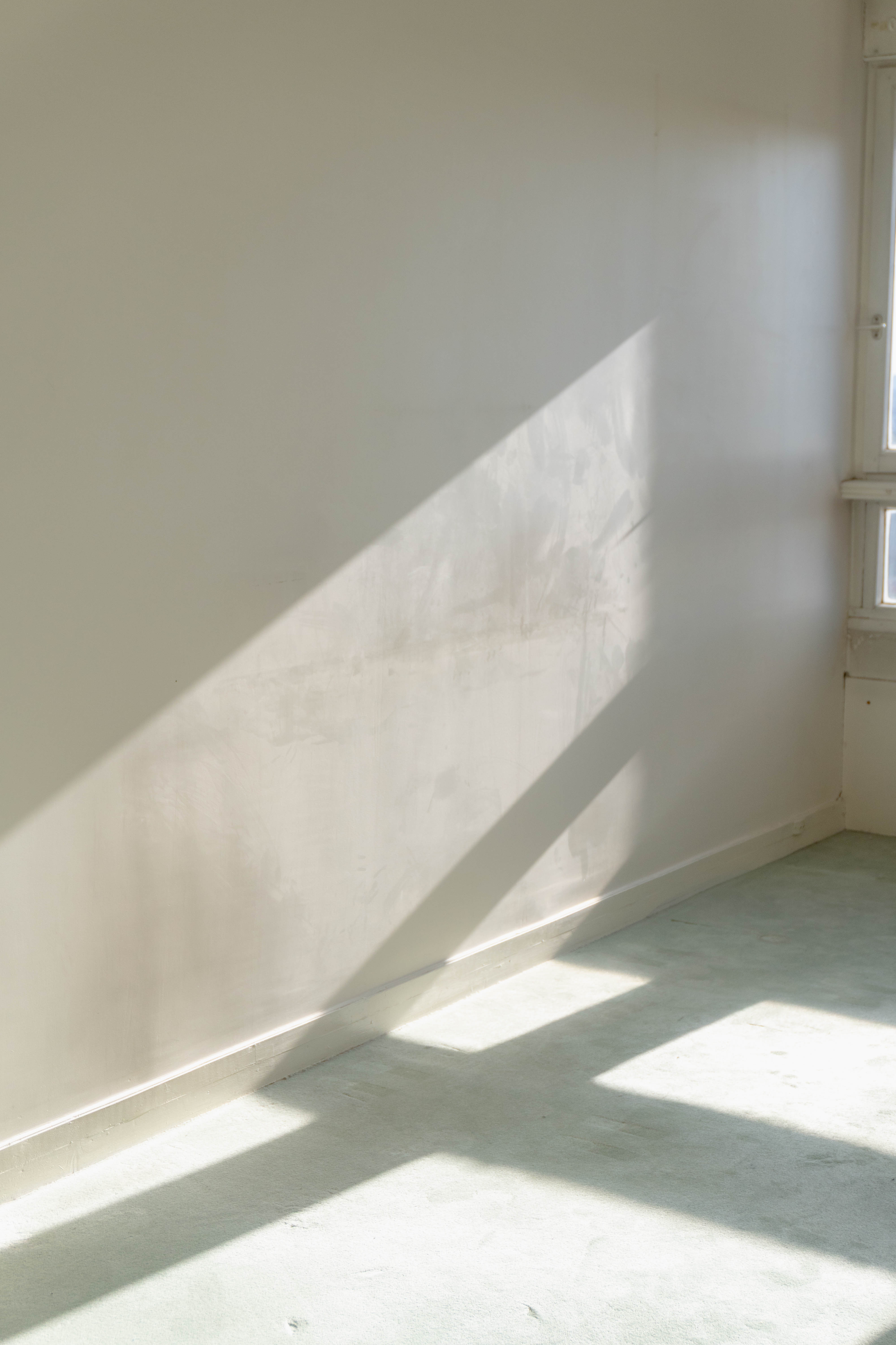 Intérieur lumineux, style contemporain