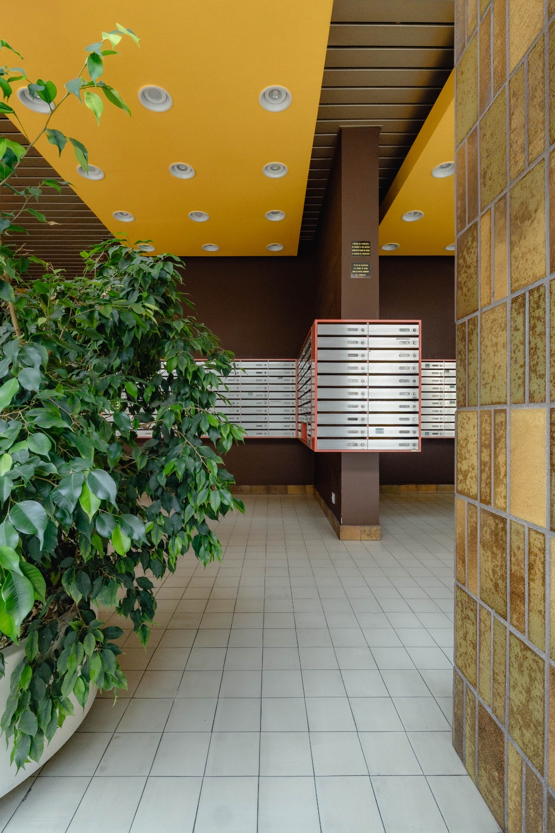 Hall — plafond jaune, ficus, boîtes oranges