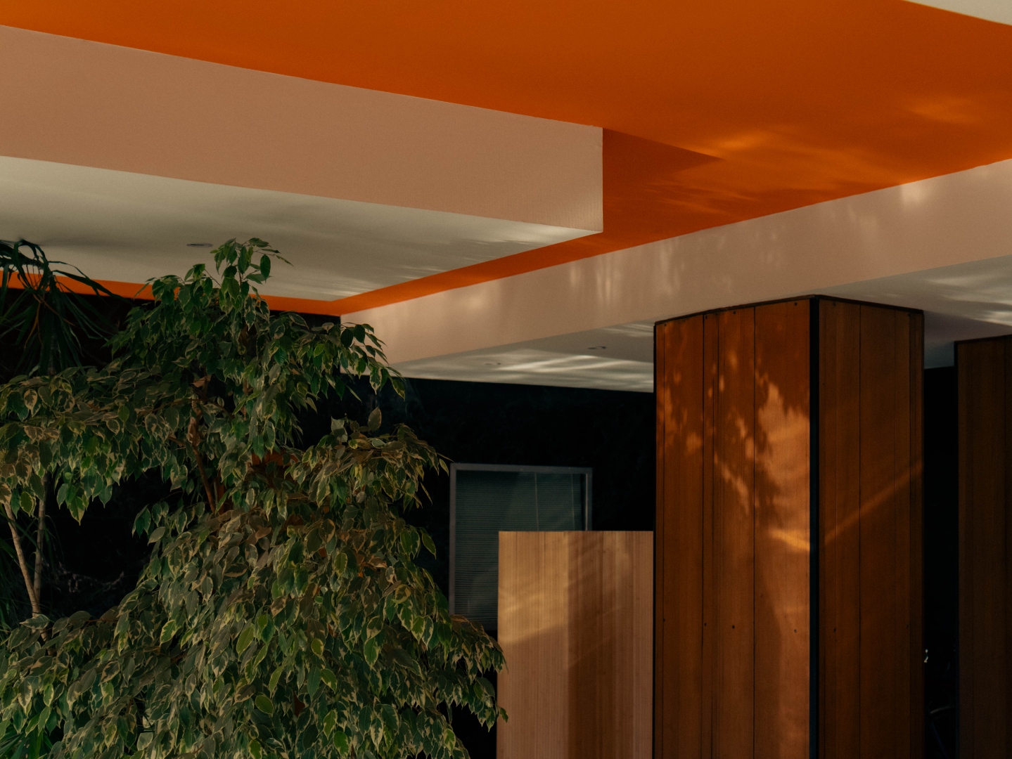 Hall — plafond orange, végétation