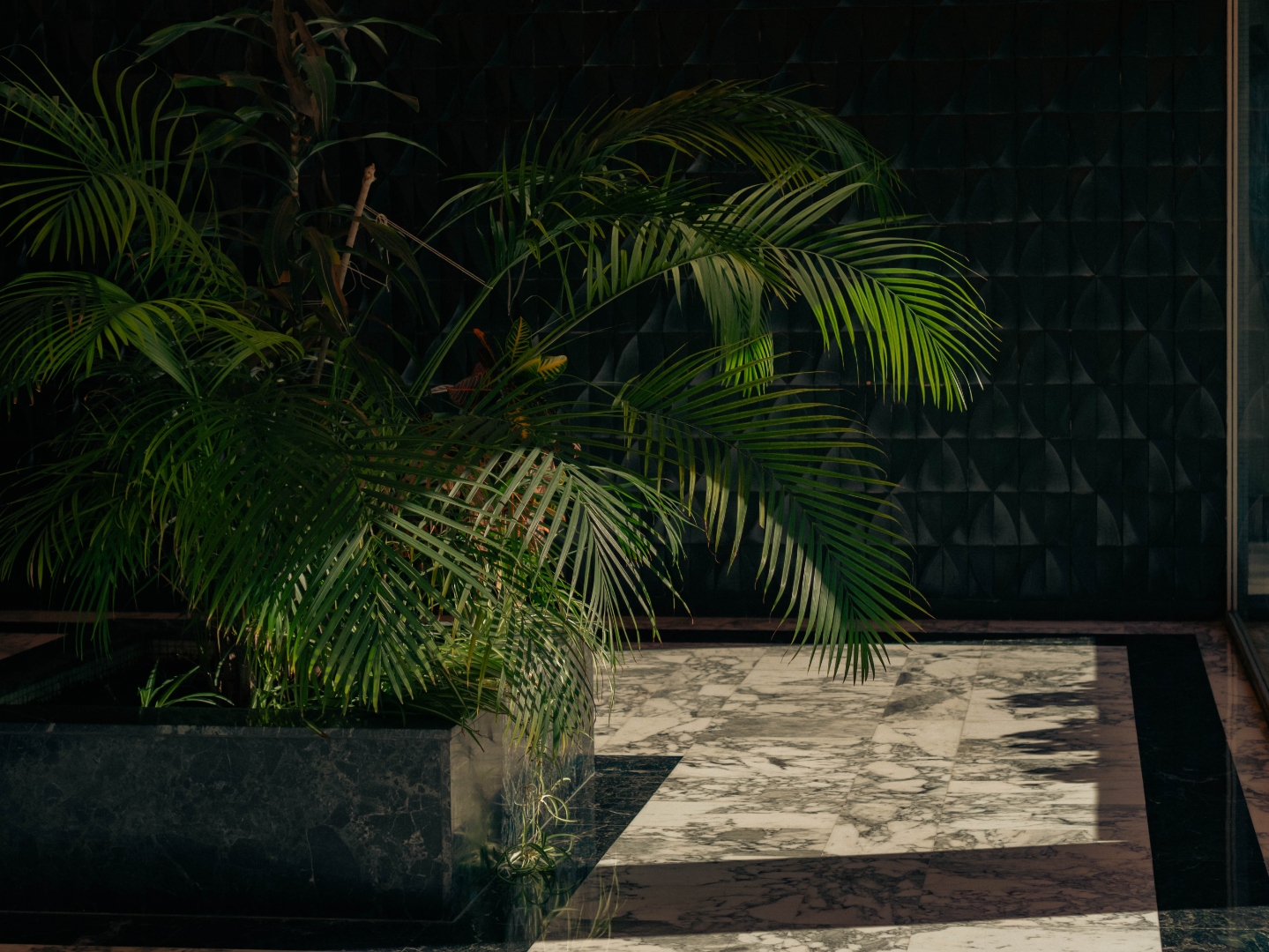 Hall — palmier en bac marbre, sol marbre veiné